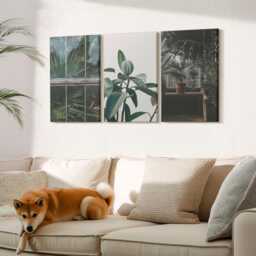 Canvas Art Set Of 3 - Green Leaves On The Window & Plants Inside, Photo Print, Flowers Wall Decor - thumbnail 2