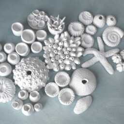 Coral Wall Sculpture Nautical Ocean Sealife Art Beach House & Yacht Decor - 40 Pieces - thumbnail 2