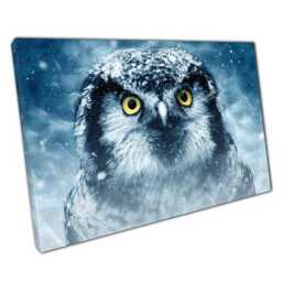 Elegant Blue Owl Canvas Print Ready-To-Hang Wall Art For Home & Office Decor - thumbnail 1