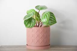 "Heart Planter With Drainage & Saucer in Country Pink, Cute 3D-Printed Plant Pot, Small To Large Sizes 4"" 5"" 6"" 7"" 8"