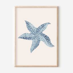 Ocean Themed Prints For A Nursery, Little Girls Room Or Playroom. The World Is Your Oyster, Jellyfish & Starfish Art. - Prints Only - thumbnail 3