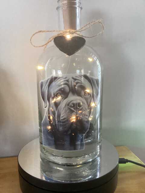 Personalised Cane Corso Dog Light Up Bottle, Bottle Lamp With Gift Messaging Service & Bag