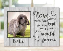 Pet Memorial Frame, Rabbit Gift, Plaque, Photo Remembrance Gift Keepsake