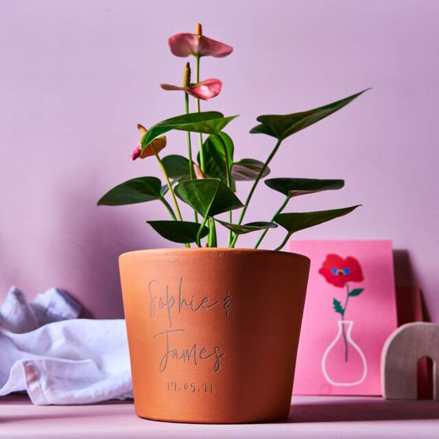 Personalised Engagement Gift Plant Pot - image 1