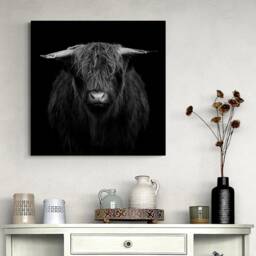 Highland Cow - Black & White Wrapped Framed Canvas Rolled Photo/Poster Print - thumbnail 2