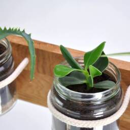 Upcycling Plant Shelf - Indoor Stand - thumbnail 3
