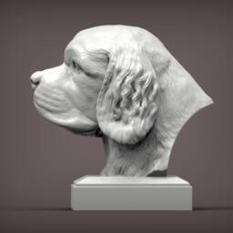 Clumber Spaniel Bust 3D Printed Dog Memorial, Home Decor - thumbnail 2