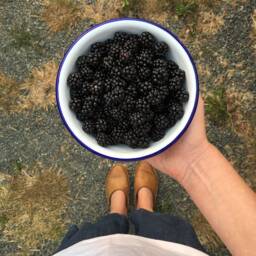 Blackberry Pillow - thumbnail 4