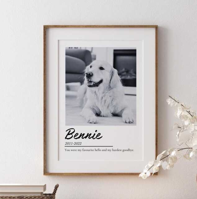 Custom Pet Memorial Print, Dog & Cat Loss Remembrance Gift, Minimalist Photo Decor - image 1