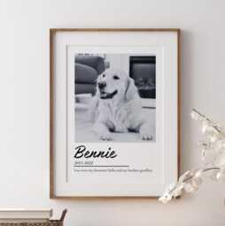 Custom Pet Memorial Print, Dog & Cat Loss Remembrance Gift, Minimalist Photo Decor - thumbnail 1