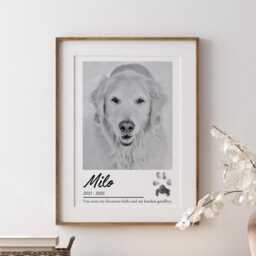 Custom Pet Memorial Print, Dog & Cat Loss Remembrance Gift, Minimalist Photo Decor - thumbnail 3