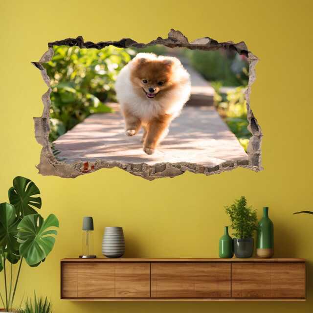 Pomeranian Puppy Dog Animal Wall Decal Sticker Mural Poster Print Art Kids Bedroom Home Decor Cs8 - image 1