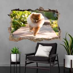 Pomeranian Puppy Dog Animal Wall Decal Sticker Mural Poster Print Art Kids Bedroom Home Decor Cs8 - thumbnail 3