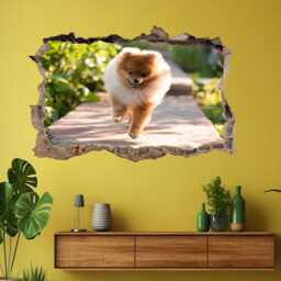Pomeranian Puppy Dog Animal Wall Decal Sticker Mural Poster Print Art Kids Bedroom Home Decor Cs8 - thumbnail 1
