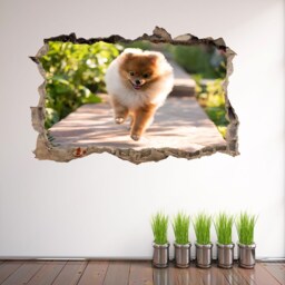Pomeranian Puppy Dog Animal Wall Decal Sticker Mural Poster Print Art Kids Bedroom Home Decor Cs8 - thumbnail 2