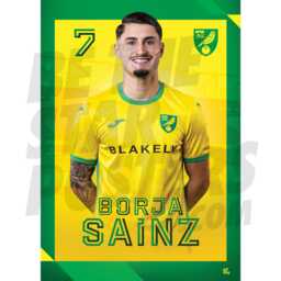 Norwich City Fc Sainz 24/25 Headshot Poster - Officially Licensed Product A4/A3 + Framed Option - thumbnail 1