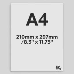 Norwich City Fc Sainz 24/25 Headshot Poster - Officially Licensed Product A4/A3 + Framed Option - thumbnail 3
