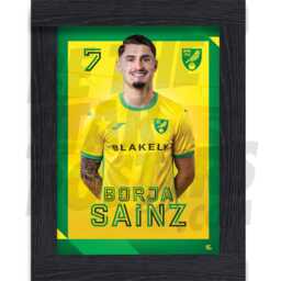 Norwich City Fc Sainz 24/25 Headshot Poster - Officially Licensed Product A4/A3 + Framed Option - thumbnail 2