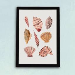 Seashells Art Print - Coastal Beach Sea Shells Poster Watercolour Illustration Artists A5, A4 Or A3 - thumbnail 2