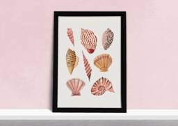 Seashells Art Print - Coastal Beach Sea Shells Poster Watercolour Illustration Artists A5, A4 Or A3 - thumbnail 1