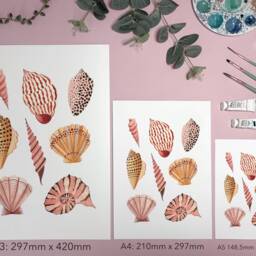 Seashells Art Print - Coastal Beach Sea Shells Poster Watercolour Illustration Artists A5, A4 Or A3 - thumbnail 3