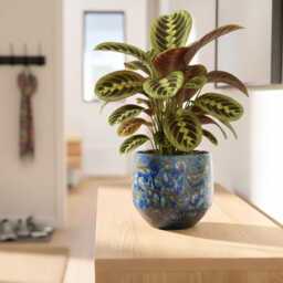 Handmade Blue Marble Ceramic Plant Pot, Harris Artisan Planter, Multiple Sizes, - D16cm-D25cm Housewarming Gift