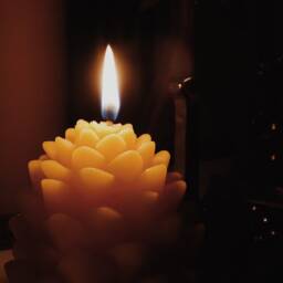 Hand Poured Beeswax Candle - Pine Cone - thumbnail 3
