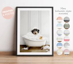 Dachshund Sausage Dog in A Bath Print, Bathing, Funny Bathroom Animal Bathtub, Wiener Tub Whimsy - thumbnail 1