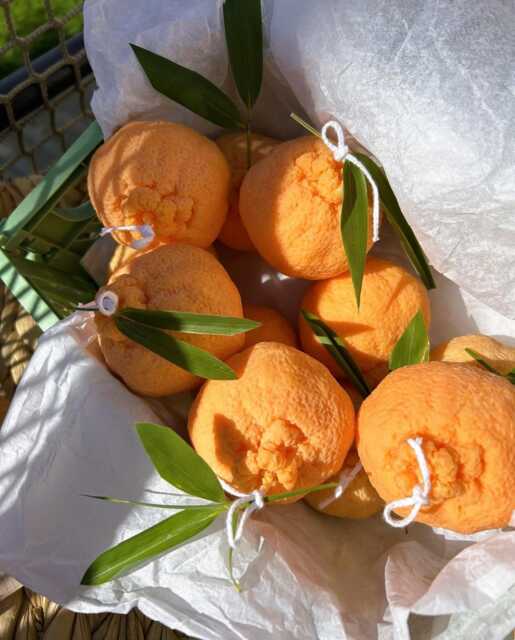 Scented Orange Candle, Gourmet Realistic Fruit Event, Decoration Idea, Gift Mother's Day, Secret Santa, Citrus - image 1