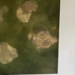 Day Dreams - Original Painting, Floral Wall Art, Home Decor - thumbnail 2