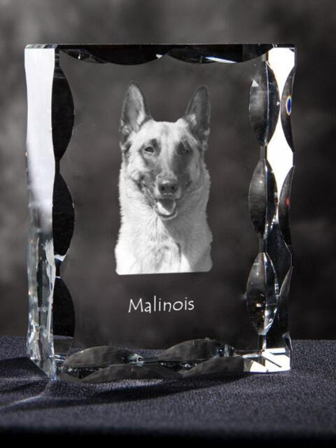 Belgian Shepherd, Malinois, Cubic Crystal With Dog, Souvenir, Decoration, Limited Edition, Collection - image 1