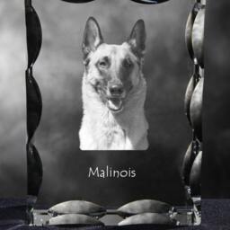 Belgian Shepherd, Malinois, Cubic Crystal With Dog, Souvenir, Decoration, Limited Edition, Collection - thumbnail 2