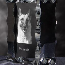 Belgian Shepherd, Malinois, Cubic Crystal With Dog, Souvenir, Decoration, Limited Edition, Collection - thumbnail 3