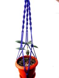 Purple Macrame Plant Pot Holder - Plant Hanger 24 Inches 3mm Hanging Planter Macrame Wall Hanging Planter Pattern Pot - thumbnail 1