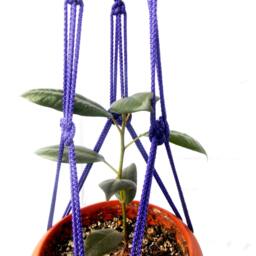 Purple Macrame Plant Pot Holder - Plant Hanger 24 Inches 3mm Hanging Planter Macrame Wall Hanging Planter Pattern Pot - thumbnail 2