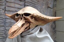 Handmade Fantasy Skull Mask Helmet, Alien Masquerade Headpiece