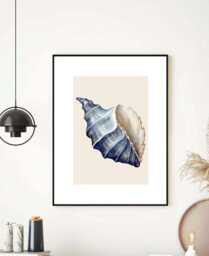 Calming Sea Shell Illustration Print Beige Blue Bathroom Wall Art Decor Theme Neutral Toilet Poster - thumbnail 1