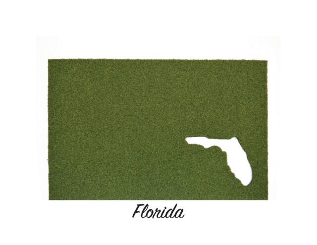 Florida Synthetic Grass Doormat - Rug Wall Decor - image 1