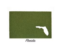 Florida Synthetic Grass Doormat - Rug Wall Decor