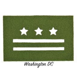 Florida Synthetic Grass Doormat - Rug Wall Decor - thumbnail 2