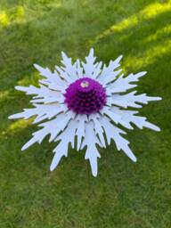 Eryngium Flower Stem - Silver, Purple, Anodised Aluminium, Garden Art Sculpture