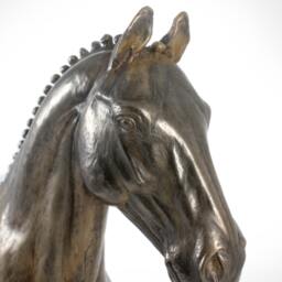 Hanoverian Horse, Horse Marble Statue, Limited Edition, Artdog - thumbnail 2