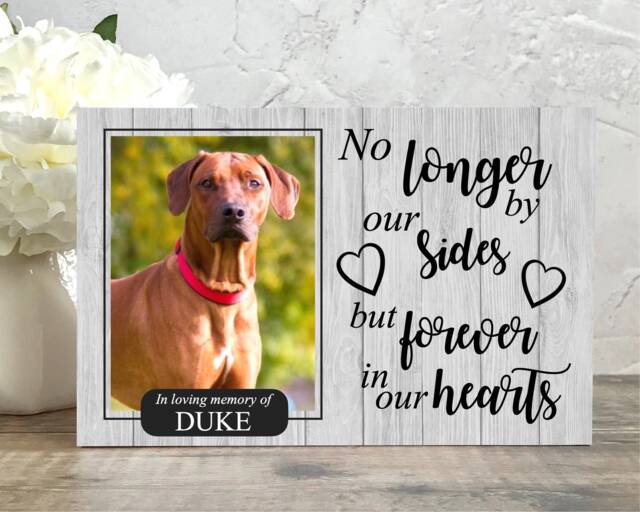 Memorial For Pet, Dog Memorial, Pet Frame, Plaque, Photo Picture Hamster - image 1
