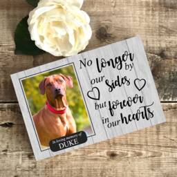 Memorial For Pet, Dog Memorial, Pet Frame, Plaque, Photo Picture Hamster - thumbnail 2