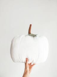 Linen Pumpkin Shaped Cushion Decorative Autumn Pillow 100% Halloween & Fall Decor - thumbnail 1
