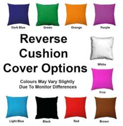 Personalised I Hugged This Little Pillow, Cat Cushion Granddaughter Grandson - thumbnail 2