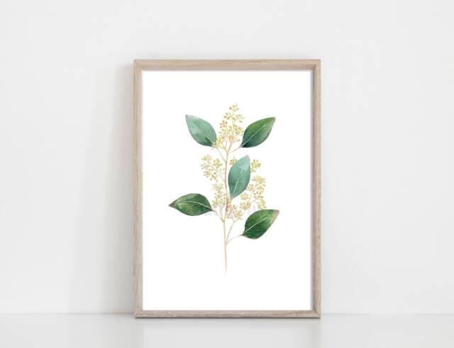 Print Of Seeded Eucalyptus Watercolour Painting, Herb Botanical Print, Green Home Decor Art Print, Kitchen Decor, Giclee Prints - image 1