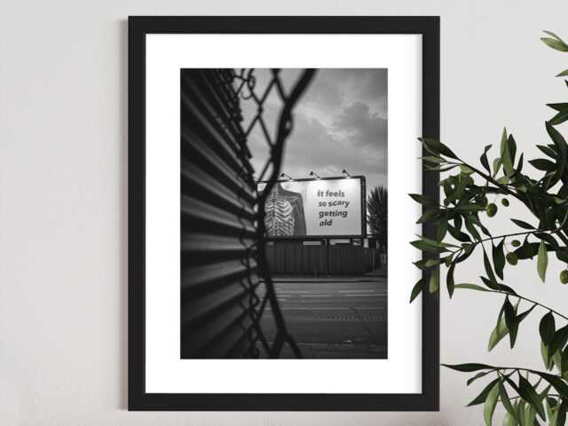 Lorde Inspired Poster - Ribs Lyric Billboard Print It Feels So Scary Getting Old Black & White Skeleton Wall Art Music Gift Idea - image 1