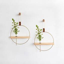 Two Propagating Shelves, Propagation Station Wall Hanging, Test Tube Planter, Planter, Shelves For Dried Flowers - thumbnail 2
