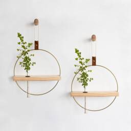 Two Propagating Shelves, Propagation Station Wall Hanging, Test Tube Planter, Planter, Shelves For Dried Flowers